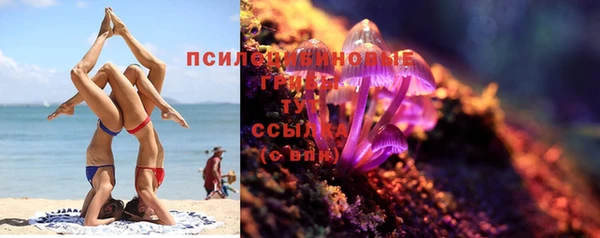 бошки Бронницы