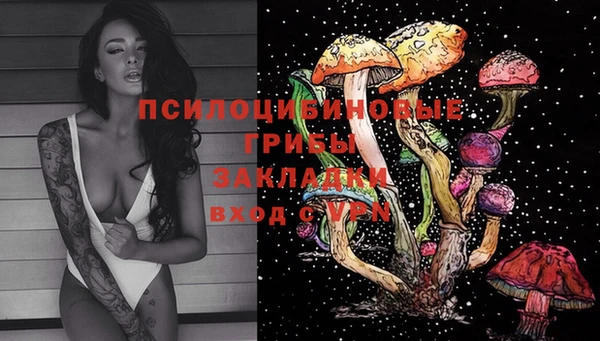 jwh Бородино