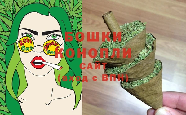 бошки Бронницы
