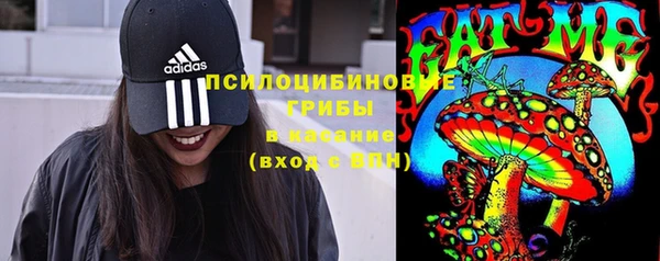 бошки Бронницы