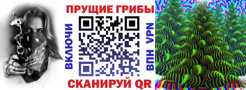 Псилоцибиновые грибы GOLDEN TEACHER  закладки  это формула  Куса 
