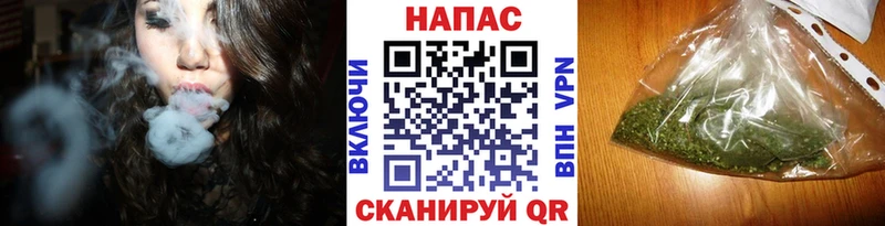МАРИХУАНА гибрид цена Куса